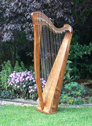 Irisch Keltische Kinder Harfe Harp 12 Saiten  Harpe celtic incl Case Tasca 